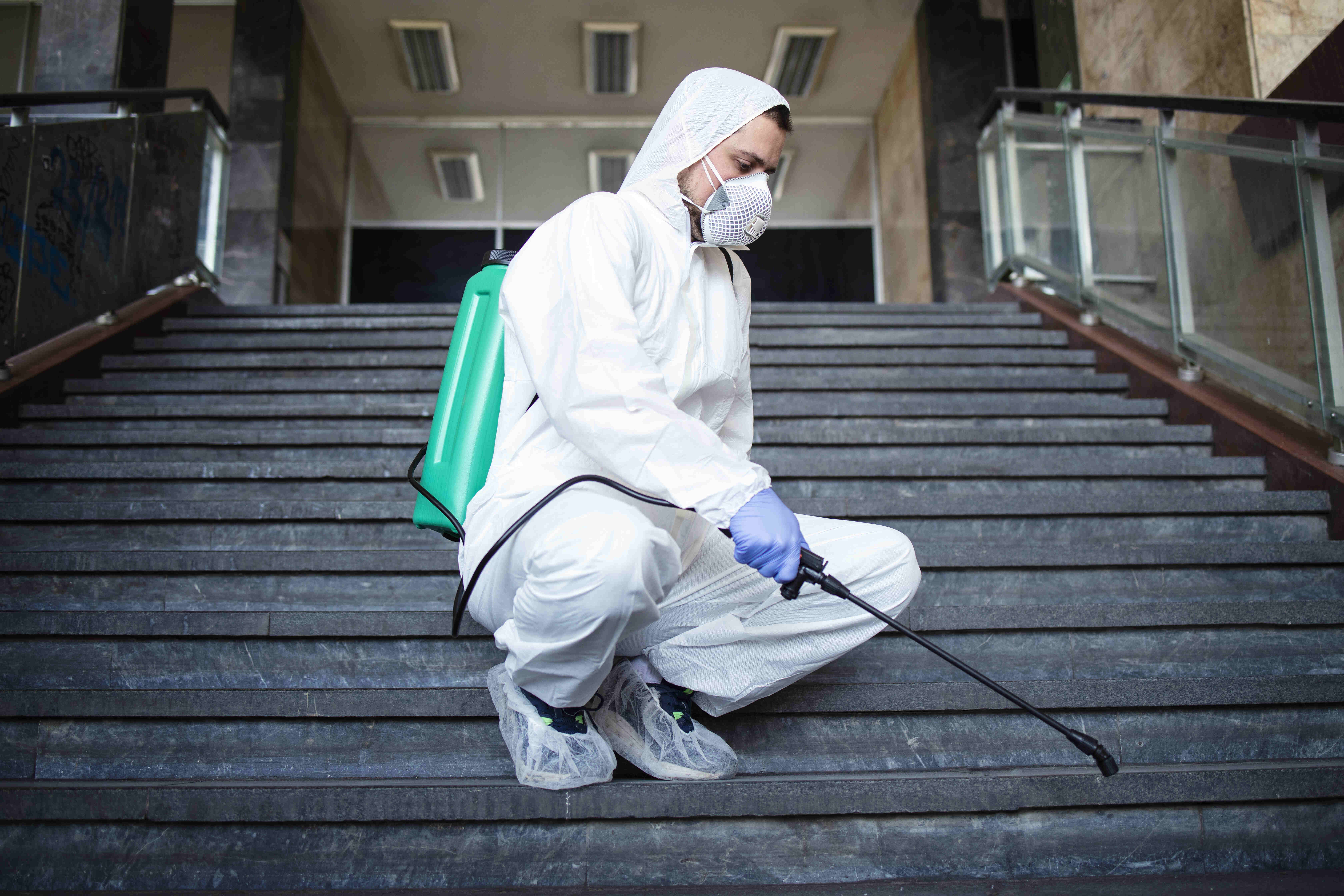 Commercial Pest Control Services for Montreal Businesses